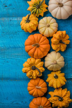 Küçük renkli balkabakları mavi arkaplan, üst görünüm, sonbahar konsepti.