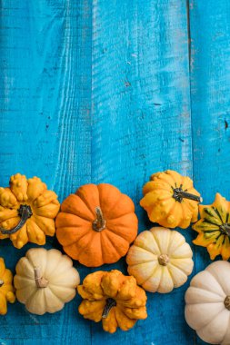 Küçük renkli balkabakları mavi arkaplan, üst görünüm, sonbahar konsepti.