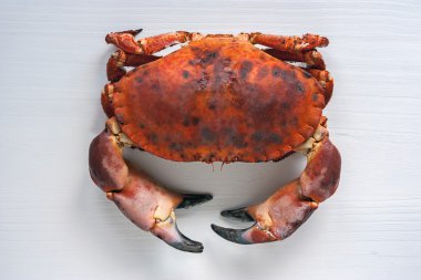 Kahverengi Beyaz ahşap zemin üzerine Yengeç