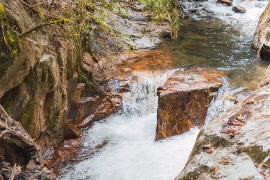 Tropikal bir ormanda küçük bir şelale manzarası.