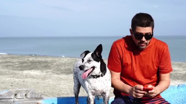 犬の横に座って携帯電話をチェックしている男 — ストック動画