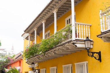 Canlı sarı duvarları, beyaz balkonları ve asılı bitkileri olan geleneksel koloni mimarisi Cartagena, Kolombiya 'da büyüleyici bir sahne yaratıyor.