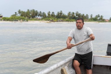 Tropik bir sahilde palmiye ağaçlarıyla kürek çeken bir adam.