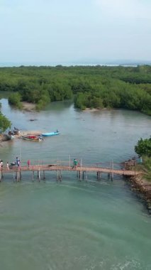 Nehrin üzerindeki ahşap bir köprünün görkemli hava manzarası yemyeşil bir mangrov ormanında denizle buluşuyor.