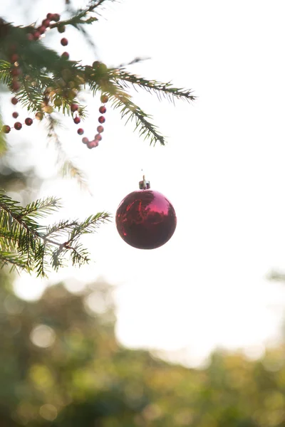 Vánoční dekorace při západu slunce — Stock fotografie