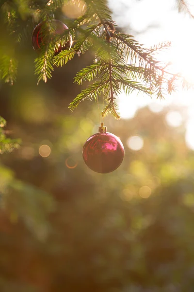 Juldekorationer i solnedgången — Stockfoto