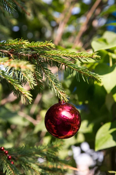Vánoční dekorace na větvi — Stock fotografie