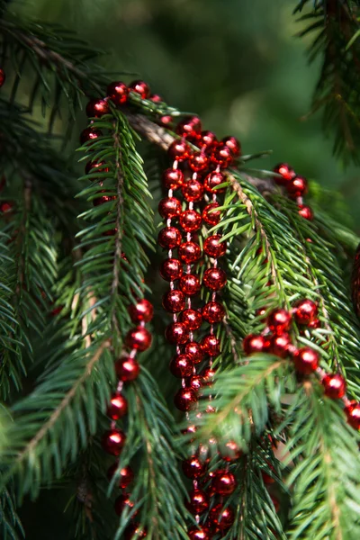 Kerstdecoratie op tak — Stockfoto