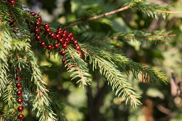 Kerstdecoratie op tak — Stockfoto