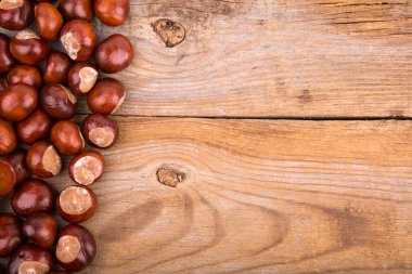 sonbahar çerçevesinden: kestane