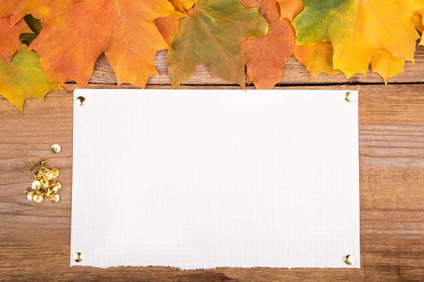 Cadre d'automne à partir de feuilles d'érable et de papier Photos De Stock Libres De Droits