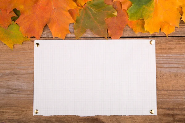 Cadre d'automne à partir de feuilles d'érable et de papier Photo De Stock