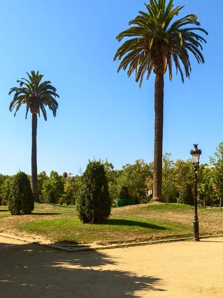 Jardín de ciutadella en la ciudad de barcelona — Foto de Stock