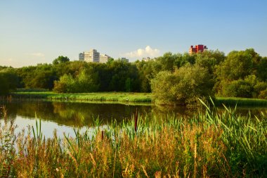 Salburua park görünümünde vitoria şehir