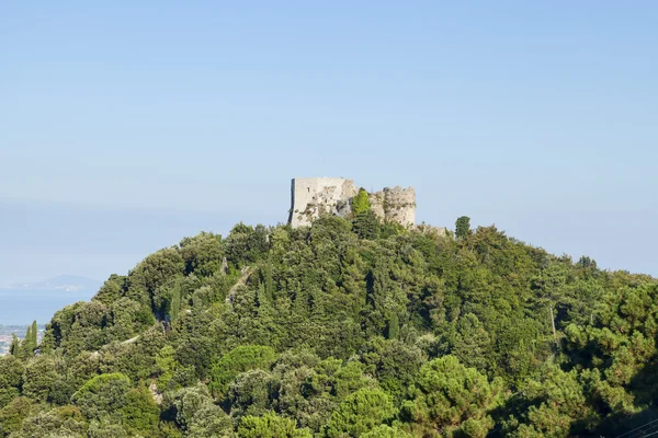 Castello sulla collina — Foto Stock