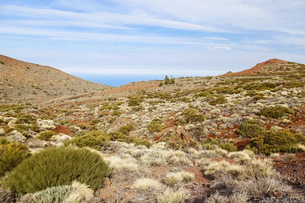 El teide montaña —  Fotos de Stock