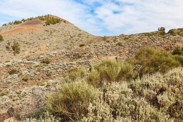 El teide montaña —  Fotos de Stock