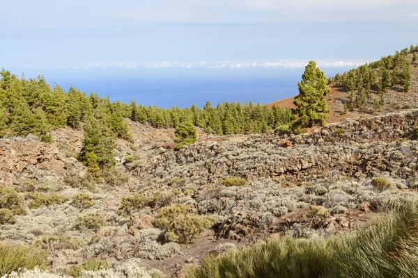 El teide montagna — Foto Stock