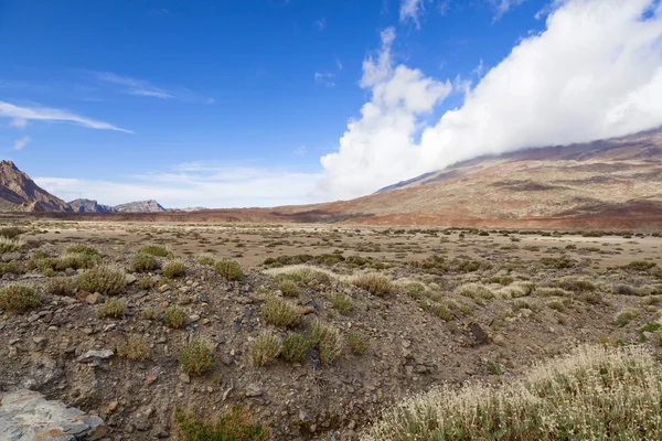 Vista el teide — Fotografia de Stock