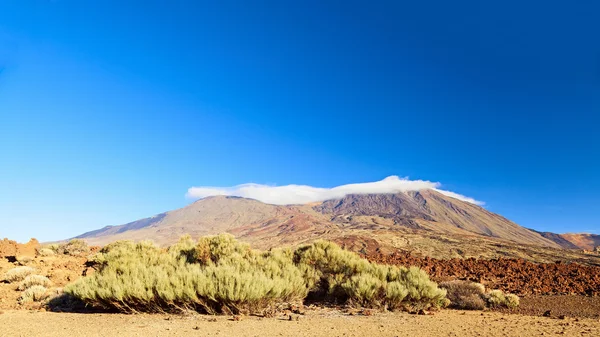 Vista el teide — Fotografia de Stock