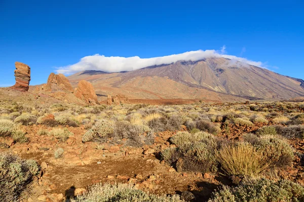 El teide view — Stock Photo, Image