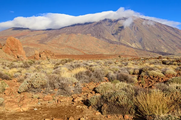 El teide vue — Photo