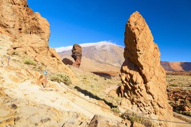 el teide ayrıntı görünümü