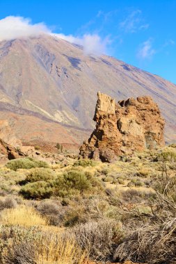 el teide ayrıntı görünümü