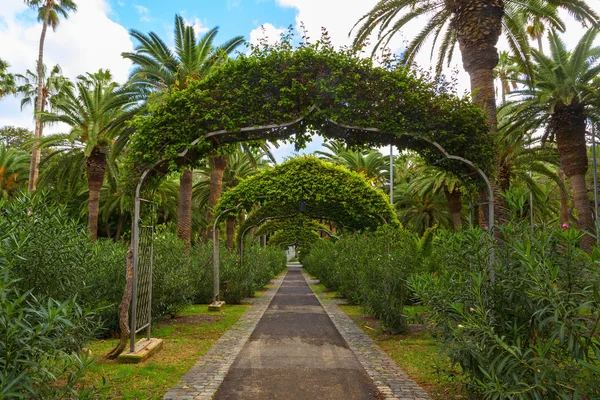 Santa Cruz Garten — Stockfoto