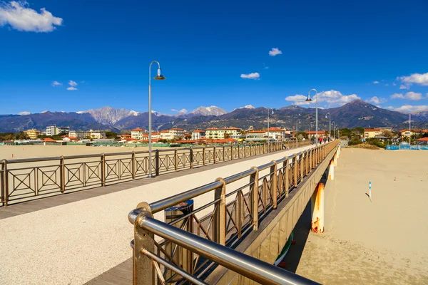 Muelle de tonfano —  Fotos de Stock