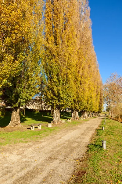 Hermoso parque mantua — Foto de Stock