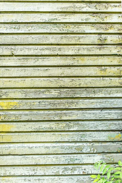 Wood plankor som bakgrund — Stockfoto