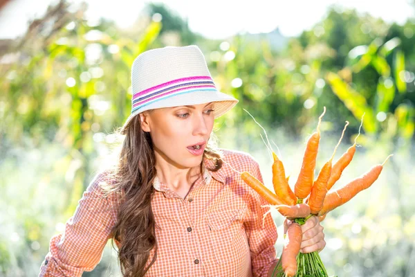 Κηπουρική - γυναίκα με οργανικά καρότα σε έναν φυτικό κήπο — Φωτογραφία Αρχείου