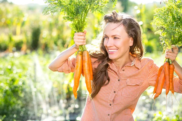 Jardinería - Mujer con zanahorias orgánicas en un huerto — Foto de Stock