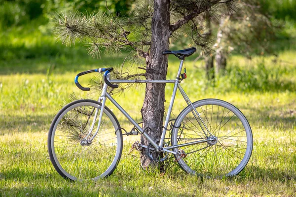 Velha bicicleta vintage no parque ensolarado — Fotografia de Stock