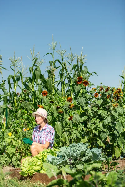 Feliz sonriente mujer caucásica agricultora o jardinero trabajando en un jardín — Foto de Stock