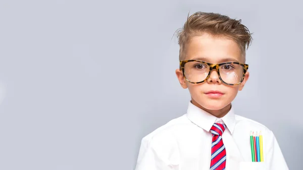 Bello Elegante Ragazzo Indossa Camicia Bianca Cravatta Occhiali Sfondo Grigio — Foto Stock