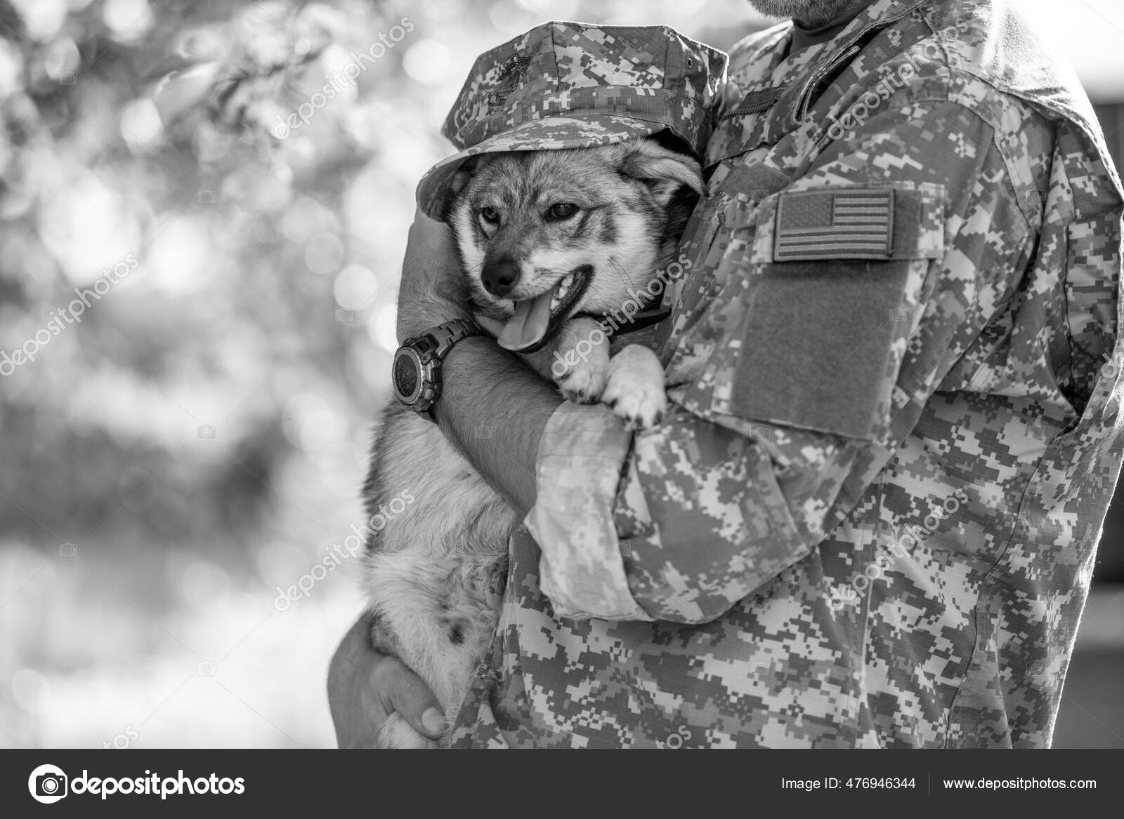 Image Noir Blanc D'un Soldat Avec Chien Militaire L'extérieur — Photo de  stock par ©PEPPERSMINT - 476946344, image size:1600x1167