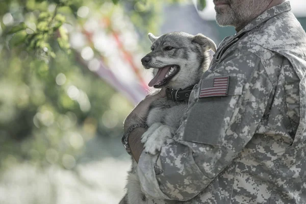 Солдат Собакою Відкритому Повітрі Тоноване Зображення — стокове фото