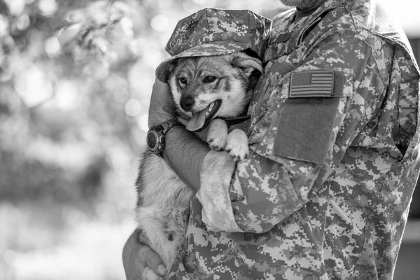 Black White Image Soldier Military Dog Outdoors — Stock Photo, Image