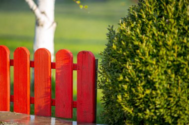 Yaz bahçesinde güzel kırmızı çitler