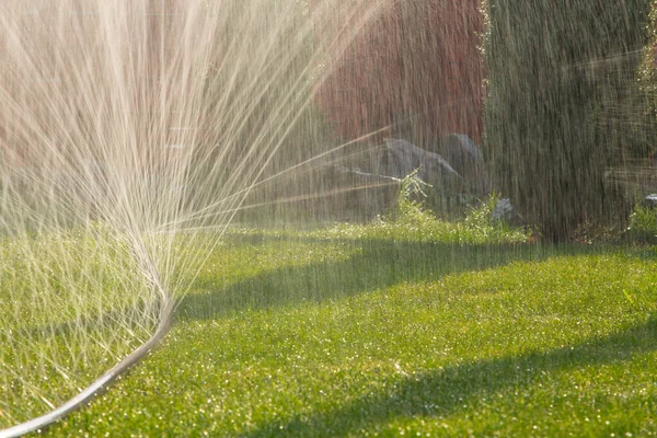 Micro Spray Cinta Riego Jardín — Foto de Stock