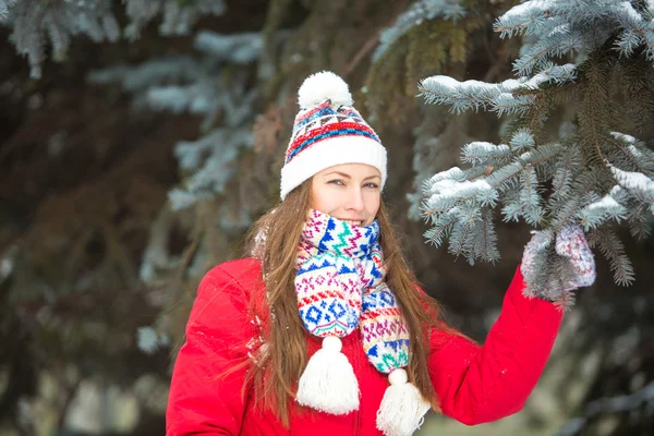 Mooie winter portret van jonge vrouw — Stockfoto
