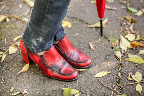 Retro autumn shoes — Stock Photo, Image