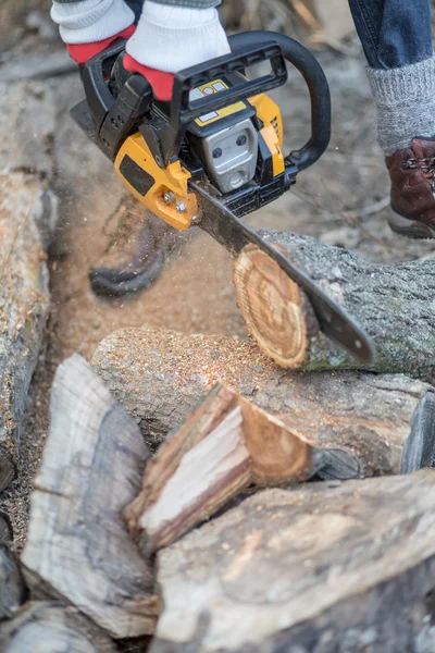 Woman with chainsaw cutting the tree — Stock Photo, Image