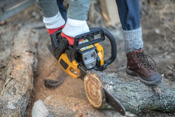 Woman with chainsaw cutting the tree — Stock Photo, Image