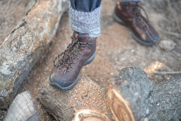 Autumn legs over piled logs background — Stock Photo, Image