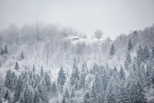 Beau paysage d'hiver — Photo