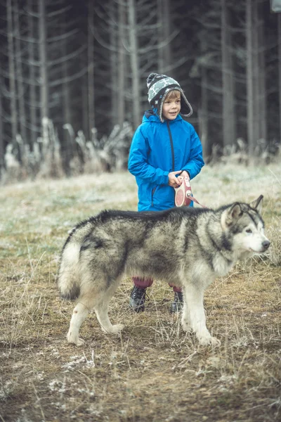 Funny small boy with his dog walking in autumn forest. motion — Stock Photo, Image