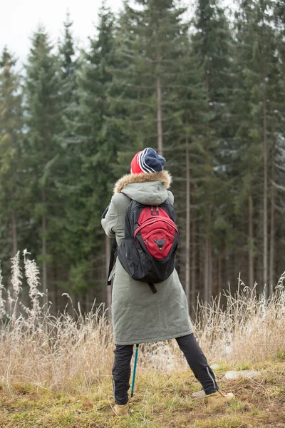 Herbstreisen — Stockfoto